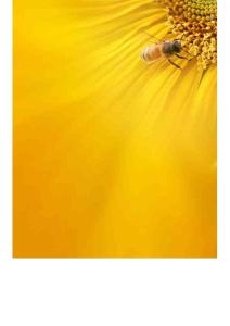 管理論：兼論管理科學(xué)與科學(xué)社會(huì)主義關(guān)系