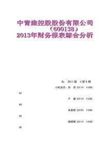 中青旅控股股份有限公司2013年財(cái)務(wù)報(bào)告分析