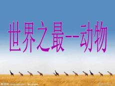 世界之最  動物篇
