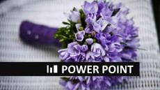 ios淡紫風(fēng)格工作匯報ppt模版_圖文.ppt