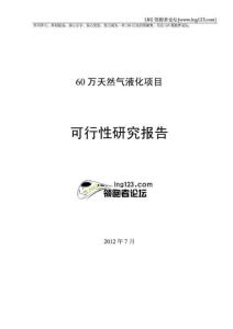 60萬方液化天然氣(LNG)項目可行性研究報告.doc