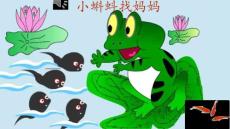 小蝌蚪找媽媽課件ppt