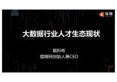 猎聘：大数据行业人才生态现状