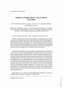 isolation of aleutian disease virus of mink in cell culture