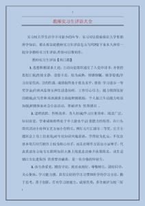 教師實習生評語大全