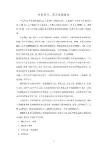 計(jì)算機(jī)專業(yè)見習(xí)、實(shí)習(xí)總結(jié)報(bào)告