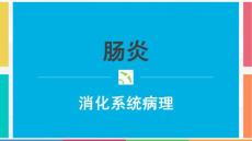 肠炎 ppt课件