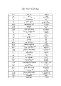 臨床超聲術語中英文對照表