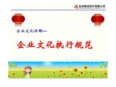（精品）企業文化詳解-企業文化執行規范.ppt