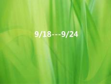 周工作報(bào)告模版