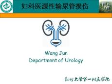 医源性妇科输尿管损伤的预防及处理PPT课件