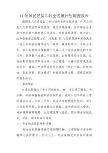 XX年国民经济和社会发展计划调查报告