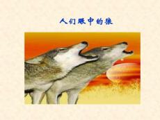 人教版語文七上20《狼》教學設計