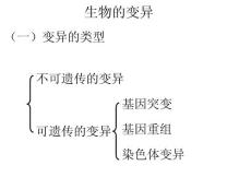 高三生物生物的變異.ppt