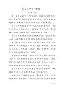安全生產(chǎn)責(zé)任制（試行）