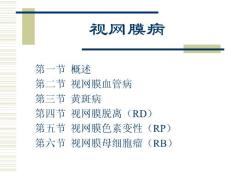 视网膜病ppt课件
