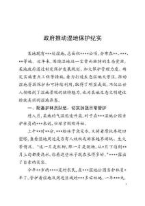 政府推進濕地保護紀實