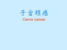 宫颈癌课件