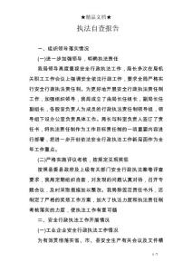 执法自查报告_0