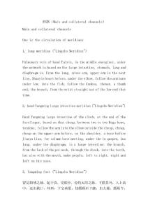 經(jīng)絡(luò)（Main and collateral channels）