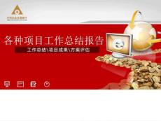 中國農(nóng)業(yè)發(fā)展銀行各項工作總結(jié)匯報PPT模板.ppt