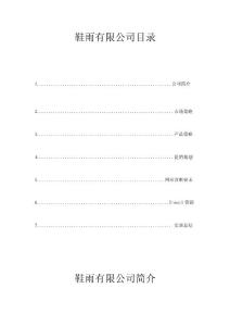 鞋雨有限公司目錄網絡營銷方案實訓總結