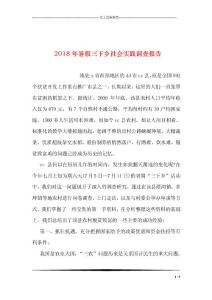 2018年暑假三下鄉(xiāng)社會實(shí)踐調(diào)查報告