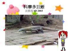 科摩多巨蜥＠