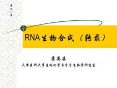 轉(zhuǎn)錄與基因表達(dá)調(diào)控6th