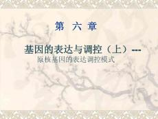 原核基因的表達(dá)調(diào)控模式