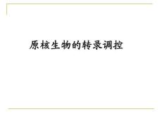 原核生物的轉錄調控toupload2016年春