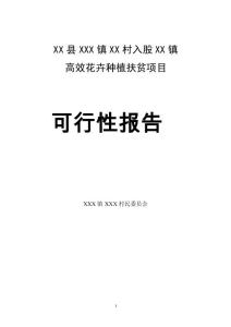 扶貧項(xiàng)目可行性報(bào)告