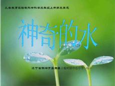 神奇的水教學課件