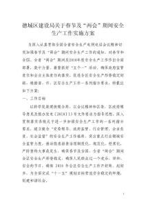 2010年1號春節及“兩會”期間安全生產實施方案