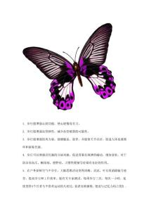 步行的十二種驚人效果