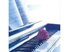 免費(fèi)  最漂亮的PPT背景圖片