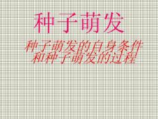 種子的萌發(fā)課件4（7頁(yè)）（人教新課標(biāo)七年級(jí)上）
