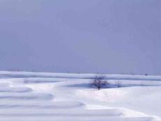 廣東省東莞市厚街開賢學(xué)校七年級(jí)語文上冊(cè)《濟(jì)南的冬天》課件新人教版