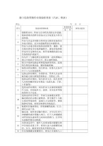 危險貨物碼頭作業(yè)現(xiàn)場檢查表