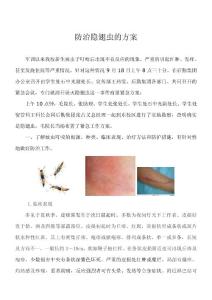 隐翅虫防治方案