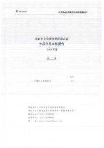 2019 北京東宇全球化智庫基金會專項信息審核報告