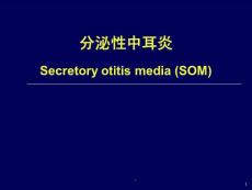 分泌性中耳炎ppt课件