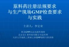 原料药注册法规要求及生产现场检查要求与实践20110530