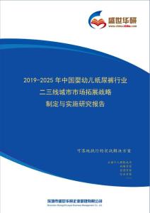 【完整版】2019-2025年中国婴幼儿纸尿裤行业二三线城市市场拓展策略制定与实施研究报告
