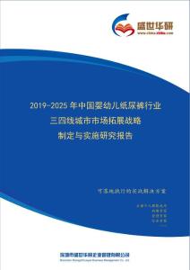 【完整版】2019-2025年中国婴幼儿纸尿裤行业三四线城市市场拓展战略制定与实施研究报告