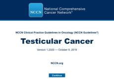 NCCN 临床实践指南：睾丸癌（2020.V1）