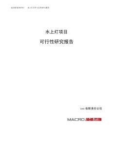 水上灯项目可行性研究报告（总投资5000万元）（22亩）