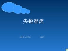 尖锐湿疣ppt课件