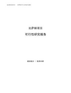 比萨锅项目可行性研究报告（总投资20000万元）（81亩）