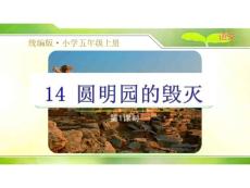 14 圓明園的毀滅.ppt